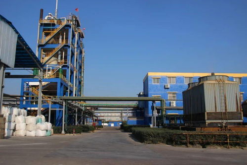 科技引領 創新驅動 以省第十五次黨代會精神為指引，推進化工技術升級與高質量發展